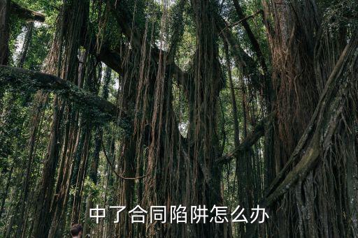 中了合同陷阱怎么辦
