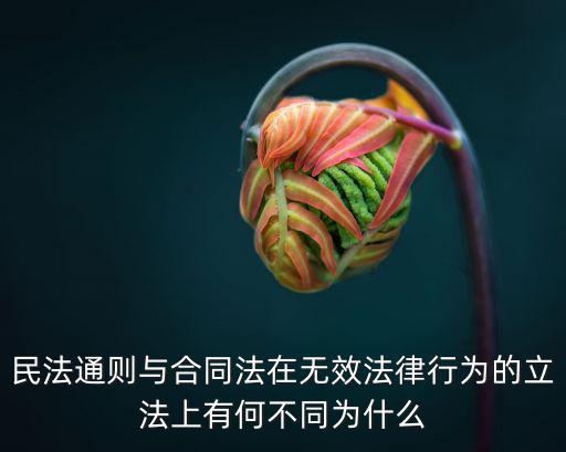 民法通則與合同法在無(wú)效法律行為的立法上有何不同為什么