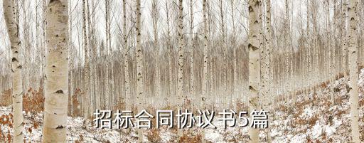 招標(biāo)合同協(xié)議書(shū)5篇