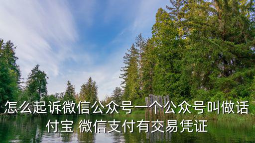 微信買賣有糾紛怎么起訴，怎么起訴微信公眾號一個公眾號叫做話付寶 微信支付有交易憑證