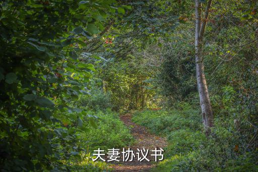 夫妻協(xié)議書(shū)