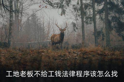 工地老板不給工錢法律程序該怎么找