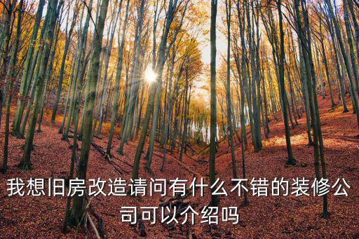 我想舊房改造請(qǐng)問(wèn)有什么不錯(cuò)的裝修公司可以介紹嗎