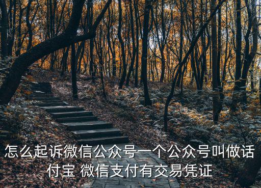 怎么起訴微信公眾號(hào)一個(gè)公眾號(hào)叫做話付寶 微信支付有交易憑證