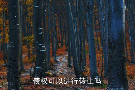債權(quán)可以進行轉(zhuǎn)讓嗎