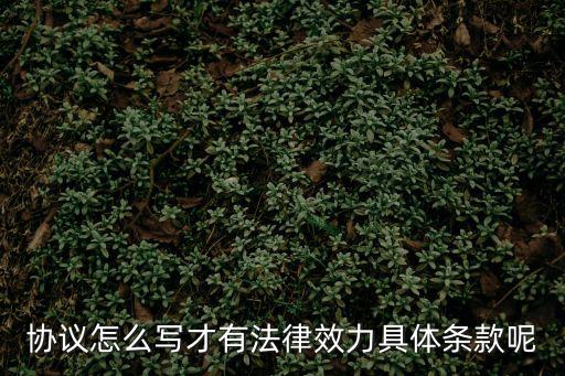 協(xié)議怎么寫才有法律效力具體條款呢