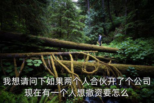 我想請(qǐng)問(wèn)下如果兩個(gè)人合伙開(kāi)了個(gè)公司現(xiàn)在有一個(gè)人想撤資要怎么