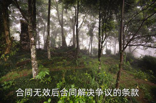 合同爭議處理條款，合同無效后合同解決爭議的條款