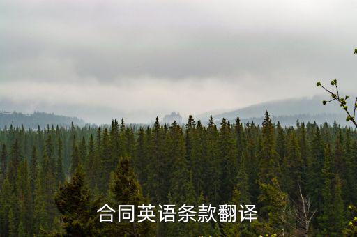 合同的五個條款英文翻譯，合同條款 翻譯
