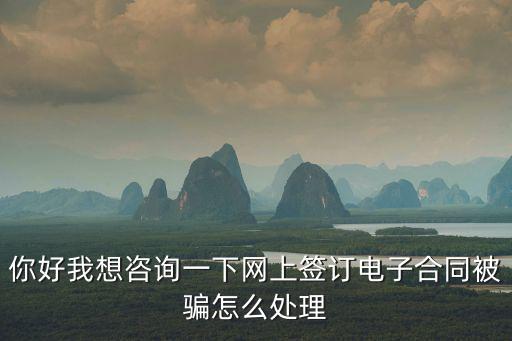 你好我想咨詢一下網(wǎng)上簽訂電子合同被騙怎么處理