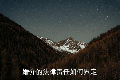 婚介的法律責(zé)任如何界定