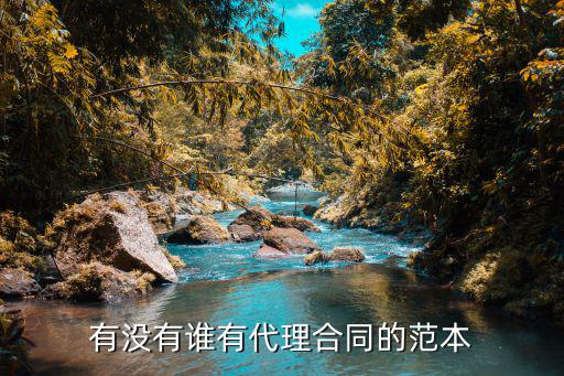 代理合同模板，有沒有誰有代理合同的范本