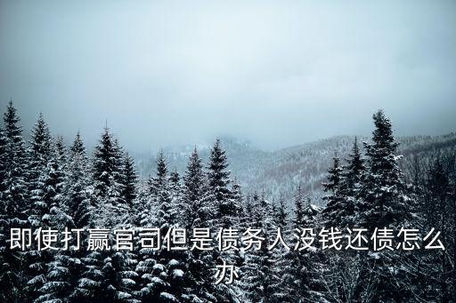 即使打贏官司但是債務(wù)人沒錢還債怎么辦