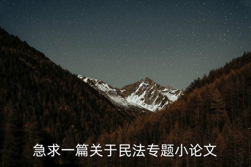 急求一篇關(guān)于民法專題小論文