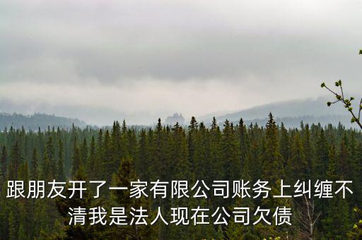 股東起訴法人賬目不清，跟朋友開了一家有限公司賬務(wù)上糾纏不清我是法人現(xiàn)在公司欠債