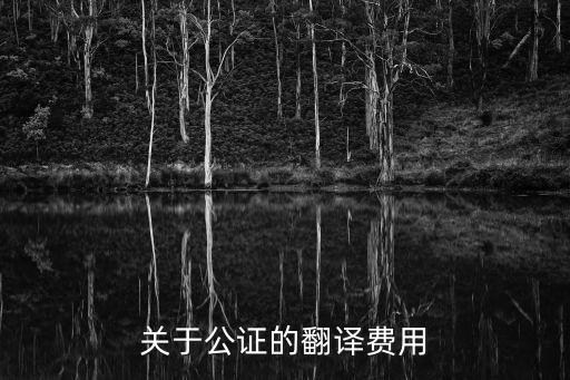 關(guān)于公證的翻譯費(fèi)用