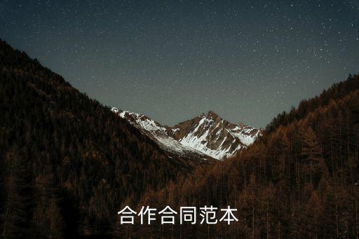 合作合同范本