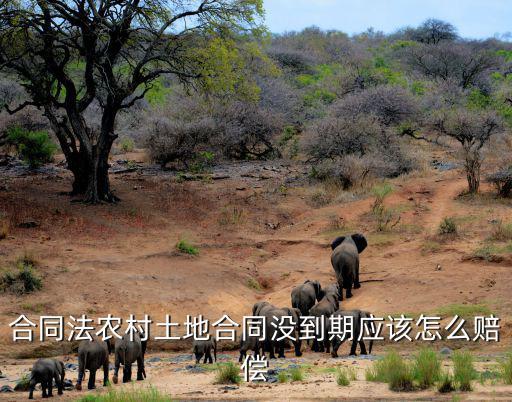 合同法農(nóng)村土地合同沒(méi)到期應(yīng)該怎么賠償