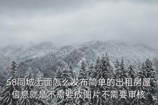 58同城上面怎么發(fā)布簡單的出租房屋信息就是不需要放圖片不需要審核