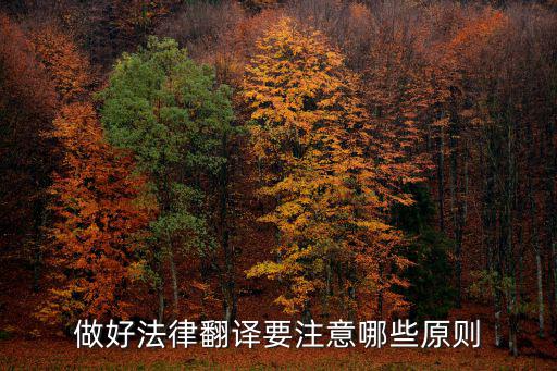 法律翻譯的原則和技巧是什么，做好法律翻譯應(yīng)該了解哪些常識