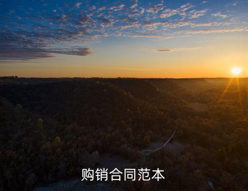 購銷合同模板電子版，購銷合同怎么寫