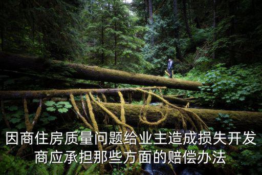 房屋質量問題賠償明細，因商住房質量問題給業(yè)主造成損失開發(fā)商應承擔那些方面的賠償辦法