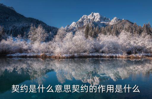 契約精神是什么意思，什么是契約精神最好就是英文版的啊老師要我們寫英文啊
