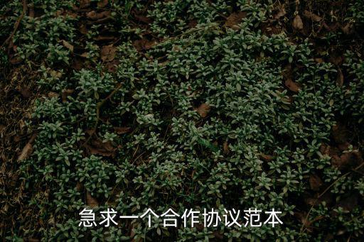 急求一個(gè)合作協(xié)議范本