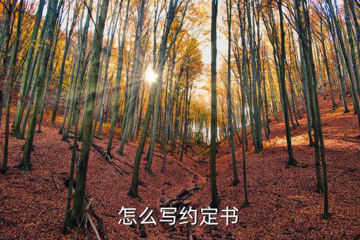 怎么寫約定書