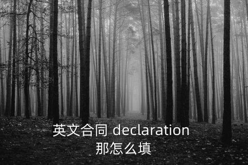 英文合同 declaration 那怎么填