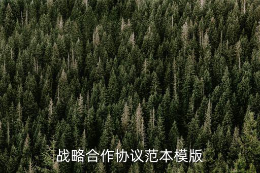戰(zhàn)略合作協(xié)議范本模版