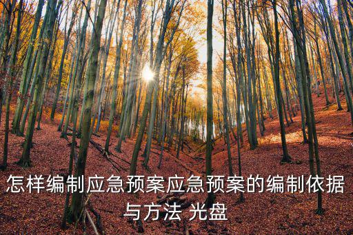 怎樣編制應(yīng)急預(yù)案應(yīng)急預(yù)案的編制依據(jù)與方法 光盤