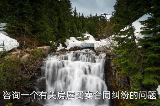 咨詢一個(gè)有關(guān)房屋買賣合同糾紛的問(wèn)題