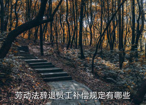 勞動法辭退員工補(bǔ)償規(guī)定有哪些