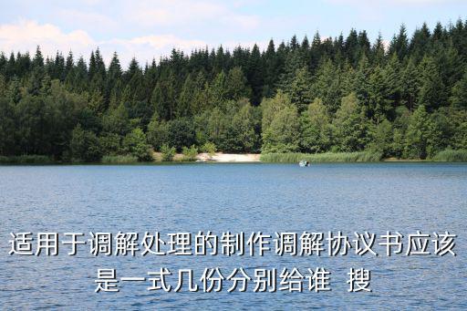 雙方調(diào)解協(xié)議書，調(diào)解協(xié)議怎么寫