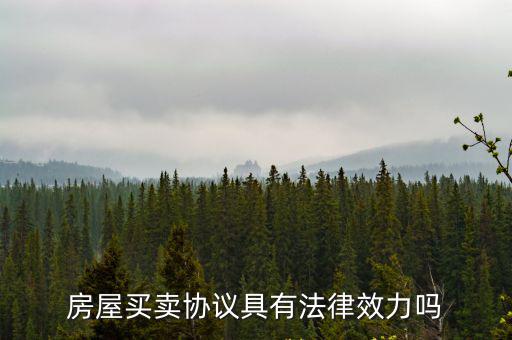 房屋買賣協(xié)議具有法律效力嗎