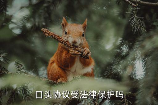 口頭協(xié)議受法律保護(hù)嗎