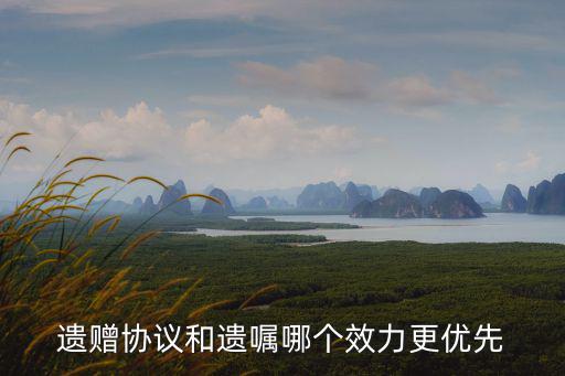 遺贈協(xié)議和遺囑哪個效力更優(yōu)先