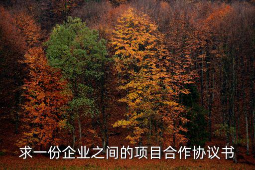 求一份企業(yè)之間的項(xiàng)目合作協(xié)議書(shū)