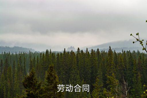 勞動(dòng)合同2022年完整版，勞動(dòng)合同書