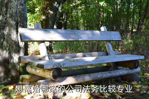 想離婚哪家的公司法務(wù)比較專業(yè)