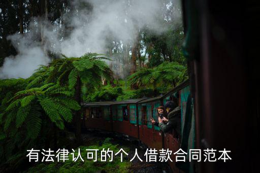 有法律認(rèn)可的個人借款合同范本