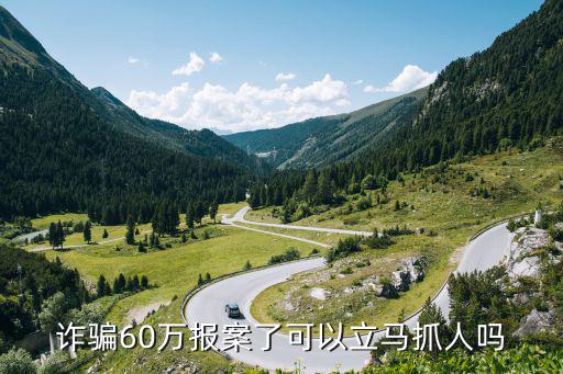 詐騙立案是先調(diào)查還是先抓人，詐騙案是先抓捕還是直接開庭