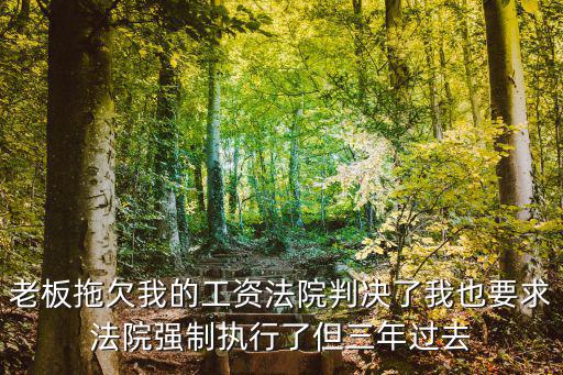 老板拖欠我的工資法院判決了我也要求法院強(qiáng)制執(zhí)行了但三年過去