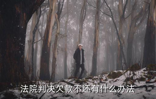 欠款不還2022新執(zhí)行辦法，法院判決欠款不還有什么辦法