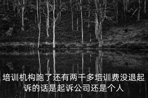 培訓(xùn)機(jī)構(gòu)不退費(fèi)如何起訴，培訓(xùn)機(jī)構(gòu)跑了還有兩千多培訓(xùn)費(fèi)沒退起訴的話是起訴公司還是個(gè)人