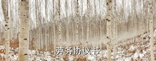 勞務委托付款協(xié)議書范本，勞務協(xié)議書