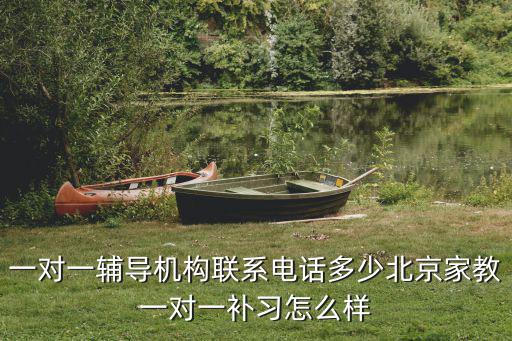 教育機(jī)構(gòu)電話，一對(duì)一輔導(dǎo)機(jī)構(gòu)聯(lián)系電話多少北京家教一對(duì)一補(bǔ)習(xí)怎么樣