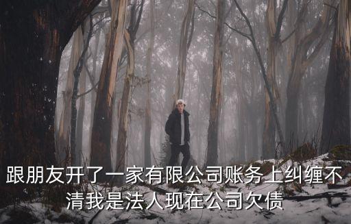 跟朋友開了一家有限公司賬務(wù)上糾纏不清我是法人現(xiàn)在公司欠債