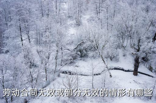 勞動(dòng)合同無效或部分無效的情形有哪些
